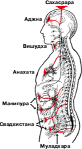 Это интересно