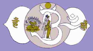 Части аджны