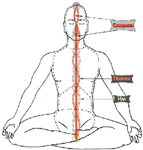 Сушумна-нади