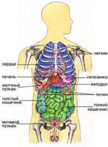 Это интересно