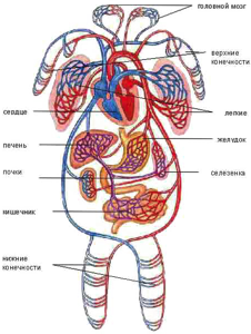 Это интересно