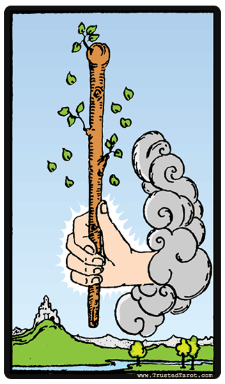 Stacks Image 14